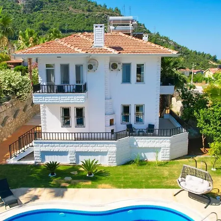 Aivin * פאטהיה